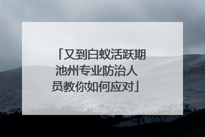 又到白蚁活跃期 池州专业防治人员教你如何应对