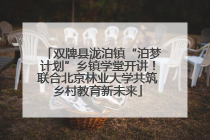 双牌县泷泊镇“泊梦计划”乡镇学堂开讲！联合北京林业大学共筑乡村教育新未来