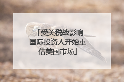 受关税战影响 国际投资人开始重估美国市场