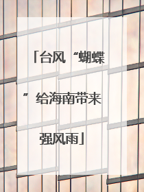 台风“蝴蝶”给海南带来强风雨