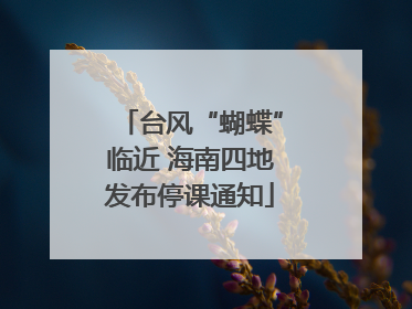 台风“蝴蝶”临近 海南四地发布停课通知