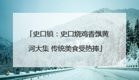 史口镇：史口烧鸡香飘黄河大集 传统美食受热捧