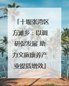 十堰张湾区方滩乡：以调研促发展 助力文旅康养产业提质增效