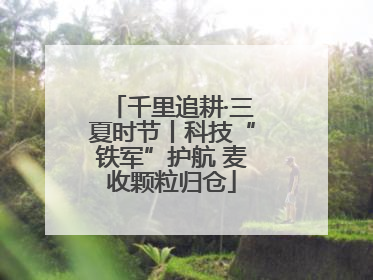 千里追耕·三夏时节丨科技“铁军”护航 麦收颗粒归仓