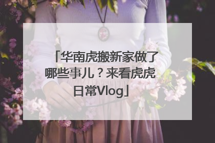 华南虎搬新家做了哪些事儿？来看虎虎日常Vlog