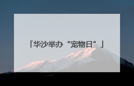华沙举办“宠物日”