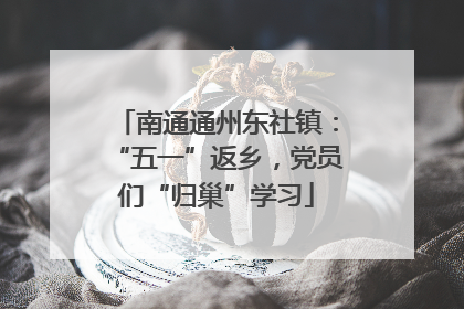 南通通州东社镇：“五一”返乡，党员们“归巢”学习
