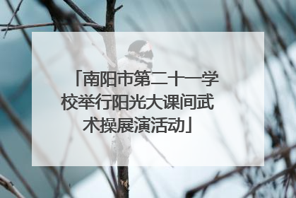 南阳市第二十一学校举行阳光大课间武术操展演活动
