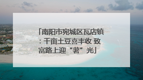 南阳市宛城区瓦店镇：千亩土豆喜丰收 致富路上迎“薯”光