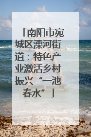 南阳市宛城区溧河街道：特色产业激活乡村振兴“一池春水”