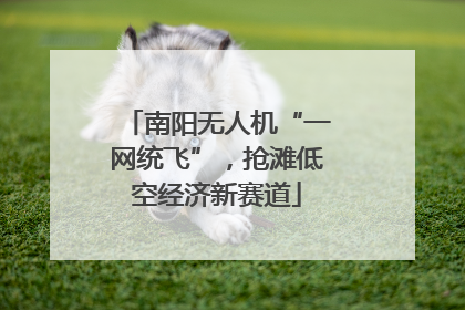 南阳无人机“一网统飞”，抢滩低空经济新赛道