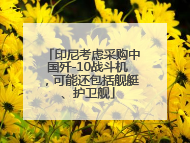 印尼考虑采购中国歼-10战斗机，可能还包括舰艇、护卫舰