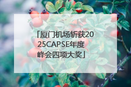 厦门机场斩获2025CAPSE年度峰会四项大奖
