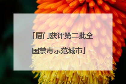 厦门获评第二批全国禁毒示范城市
