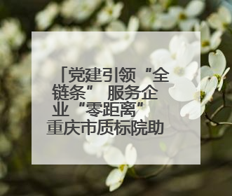 党建引领“全链条” 服务企业“零距离” 重庆市质标院助力新能源汽车产业链提升质量管理水平