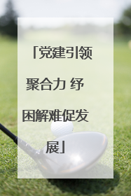 党建引领聚合力 纾困解难促发展