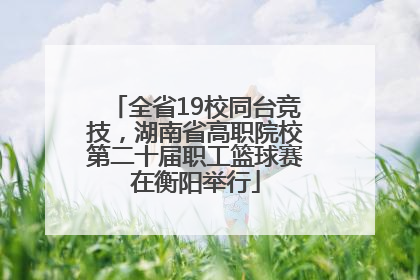 全省19校同台竞技，湖南省高职院校第二十届职工篮球赛在衡阳举行