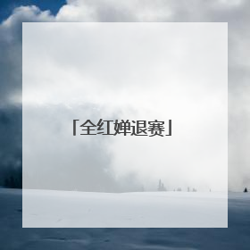 全红婵退赛