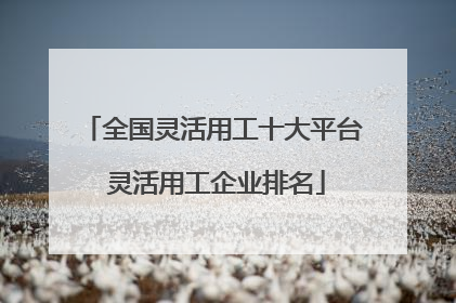 全国灵活用工十大平台 灵活用工企业排名