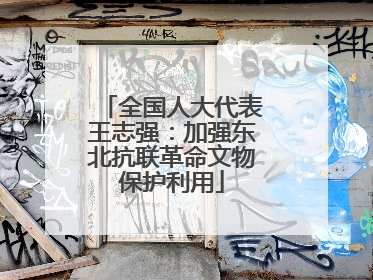 全国人大代表王志强：加强东北抗联革命文物保护利用