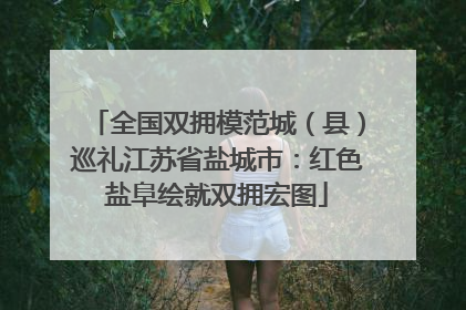 全国双拥模范城（县）巡礼江苏省盐城市：红色盐阜绘就双拥宏图