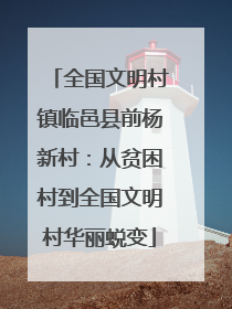全国文明村镇临邑县前杨新村：从贫困村到全国文明村华丽蜕变