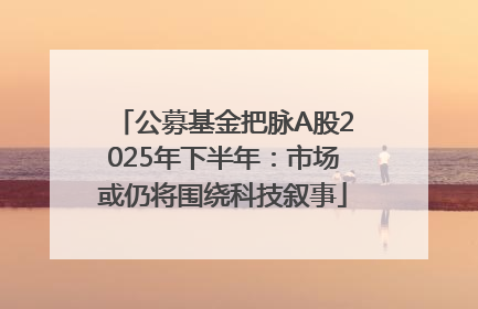 公募基金把脉A股2025年下半年：市场或仍将围绕科技叙事