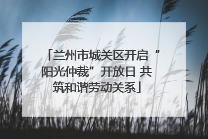 兰州市城关区开启“阳光仲裁”开放日 共筑和谐劳动关系