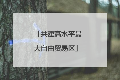 共建高水平最大自由贸易区