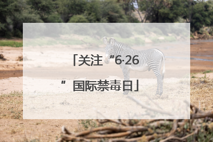关注“6·26”国际禁毒日