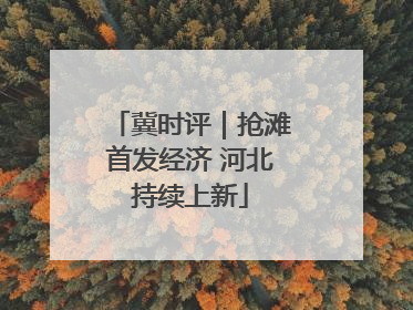 冀时评｜抢滩首发经济 河北持续上新