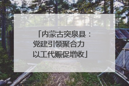 内蒙古突泉县：党建引领聚合力 以工代赈促增收