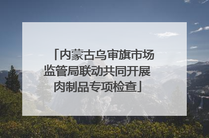 内蒙古乌审旗市场监管局联动共同开展肉制品专项检查