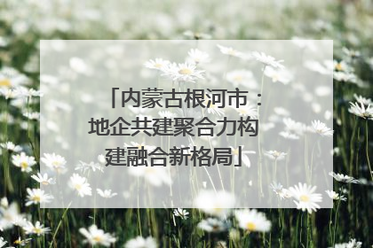 内蒙古根河市：地企共建聚合力构建融合新格局