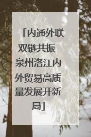 内通外联双链共振 泉州洛江内外贸易高质量发展开新局