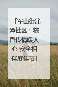 军山街蒲潭社区：粽香传情暖人心 安全相伴度佳节