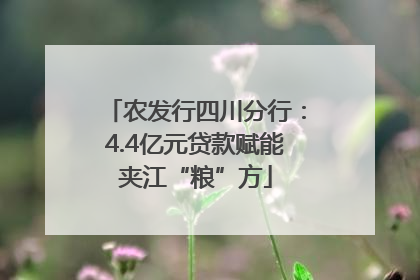 农发行四川分行：4.4亿元贷款赋能夹江“粮”方