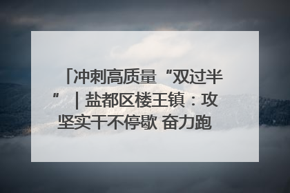 冲刺高质量“双过半”｜盐都区楼王镇：攻坚实干不停歇 奋力跑赢“上半场”
