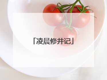 凌晨修井记