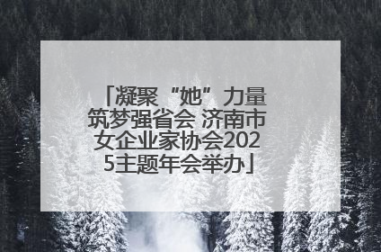 凝聚“她”力量 筑梦强省会 济南市女企业家协会2025主题年会举办