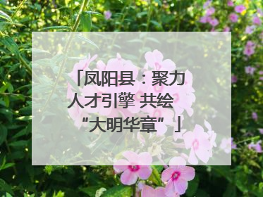 凤阳县：聚力人才引擎 共绘“大明华章”