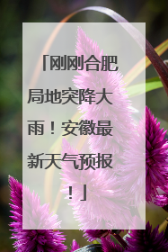 刚刚合肥局地突降大雨！安徽最新天气预报！