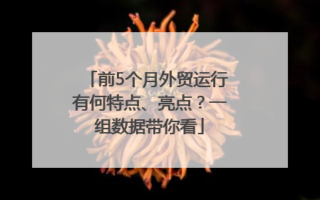 前5个月外贸运行有何特点、亮点？一组数据带你看