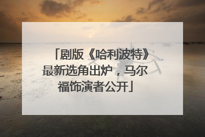 剧版《哈利波特》最新选角出炉，马尔福饰演者公开