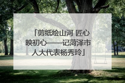 剪纸绘山河 匠心映初心——记菏泽市人大代表杨秀玲