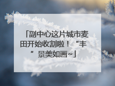 副中心这片城市麦田开始收割啦！“丰”景美如画~