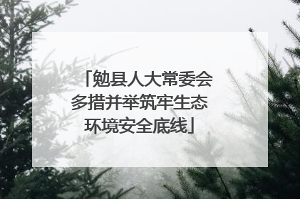 勉县人大常委会多措并举筑牢生态环境安全底线