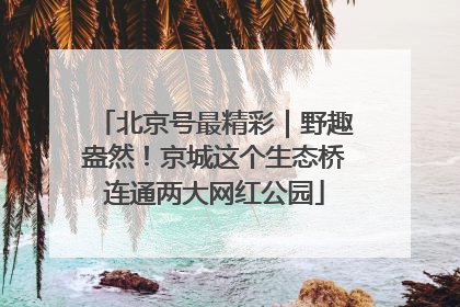 北京号最精彩｜野趣盎然！京城这个生态桥连通两大网红公园