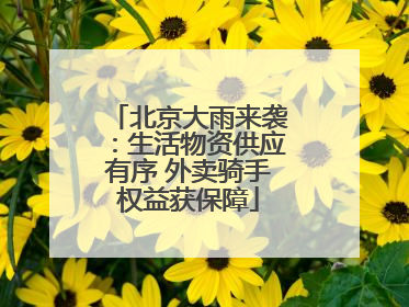 北京大雨来袭：生活物资供应有序 外卖骑手权益获保障