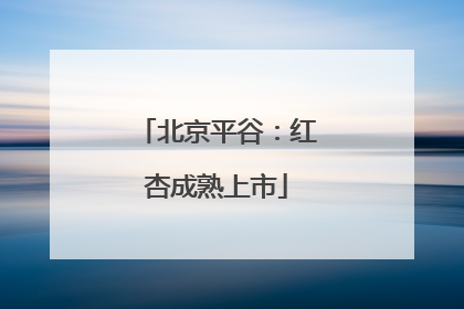 北京平谷：红杏成熟上市